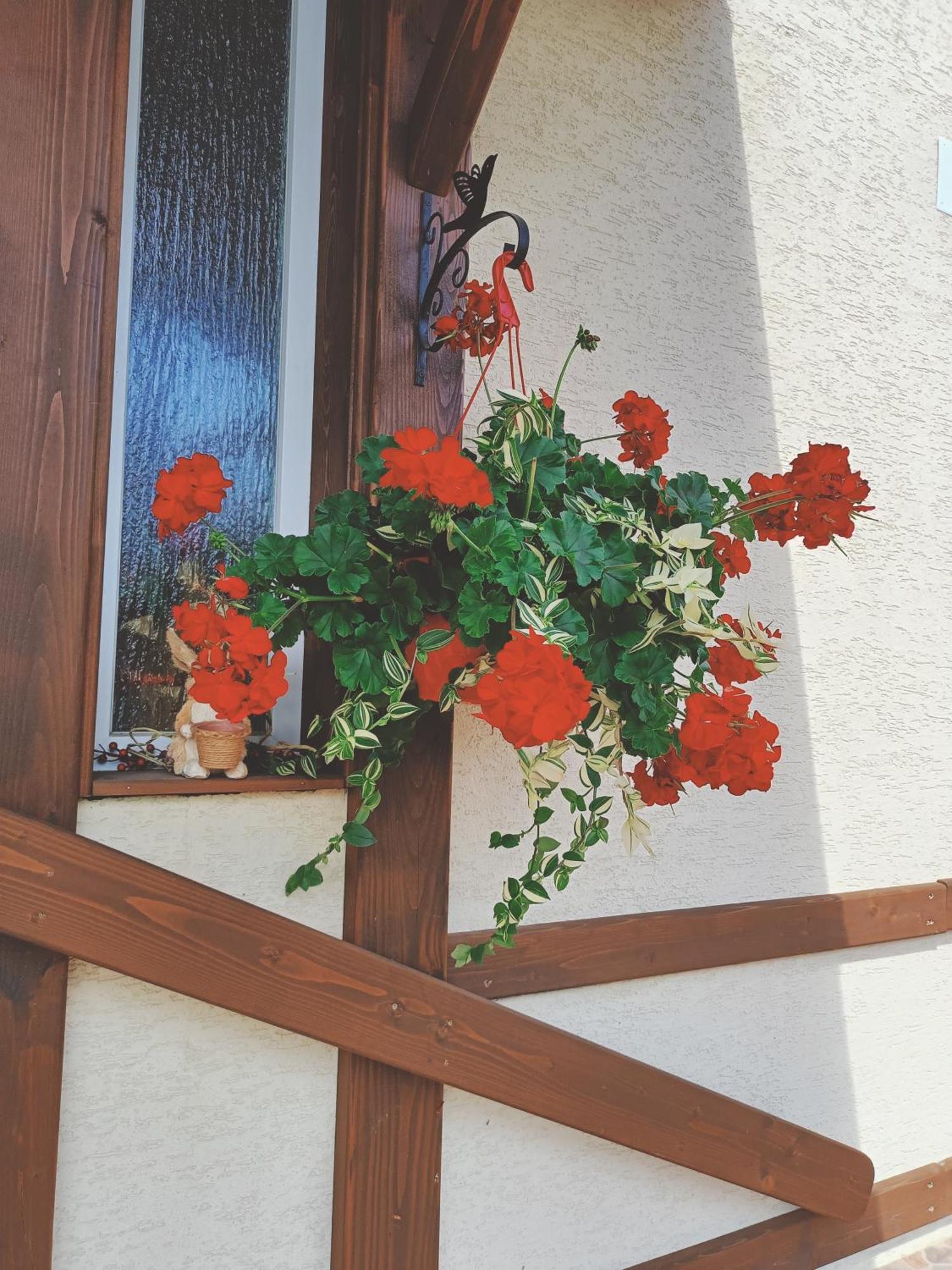 Residence Rooms Bucovina Campulung Moldovenesc Exterior photo