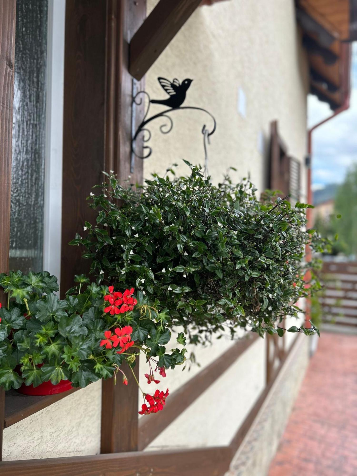 Residence Rooms Bucovina Campulung Moldovenesc Exterior photo