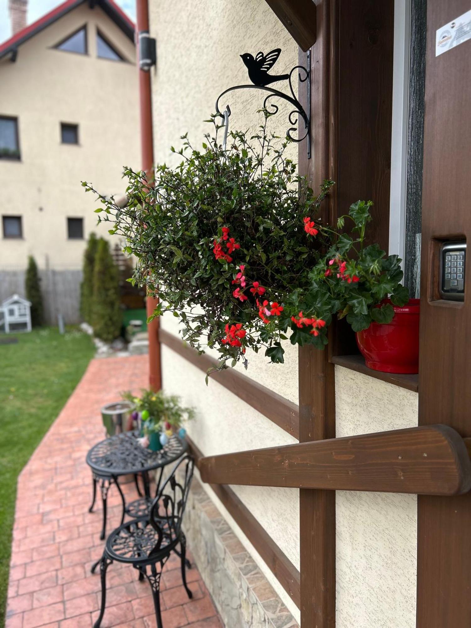 Residence Rooms Bucovina Campulung Moldovenesc Exterior photo
