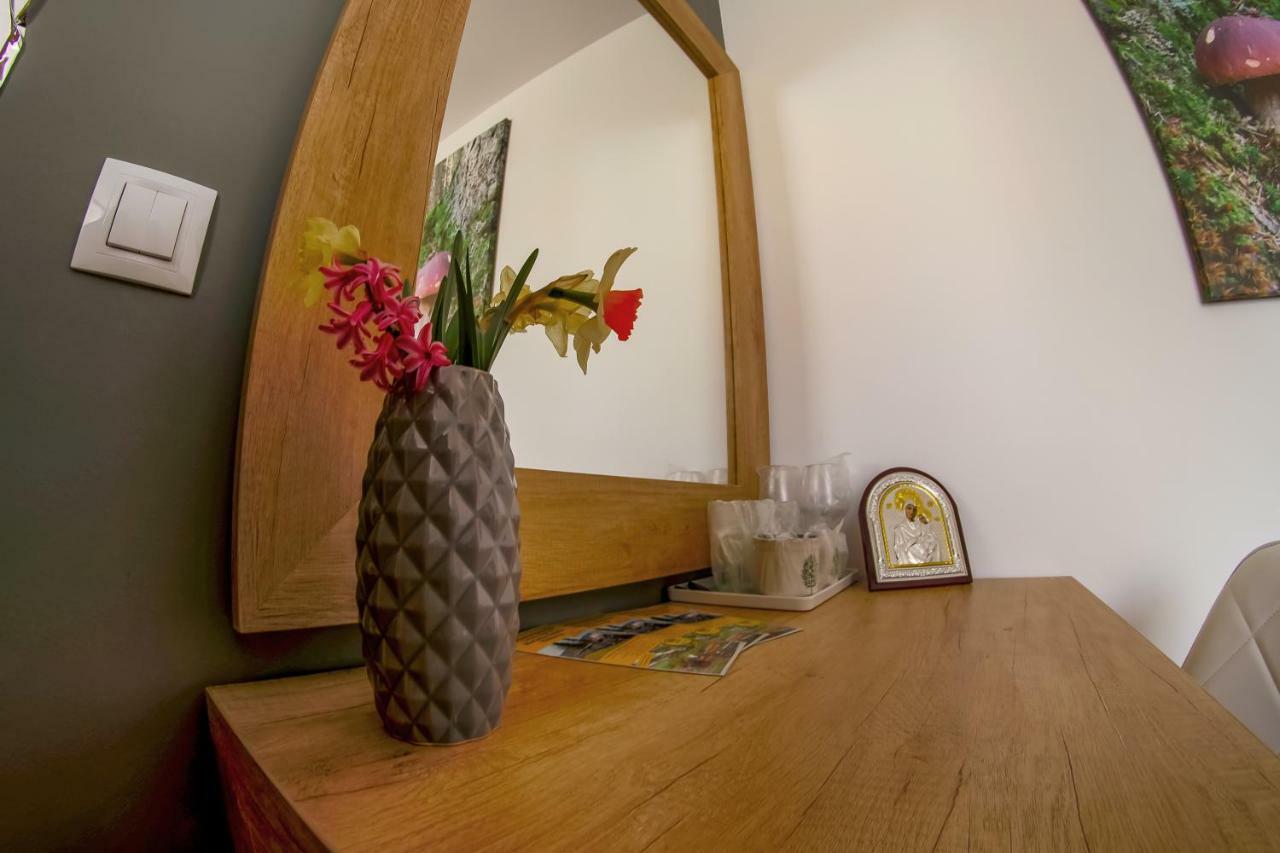 Residence Rooms Bucovina Campulung Moldovenesc Exterior photo